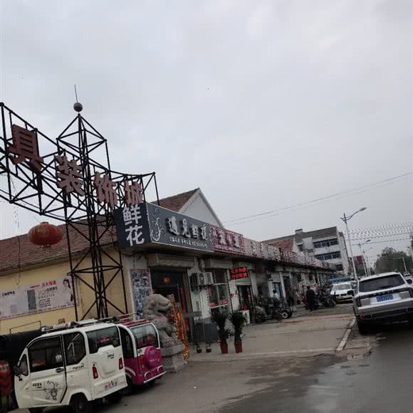 宠爱:徐州市铜山区柳新附近