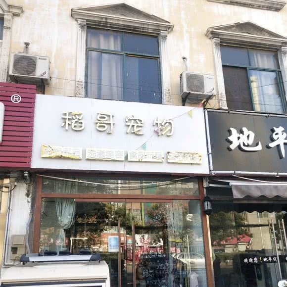 稻哥宠物:徐州市铜山区张集镇附近