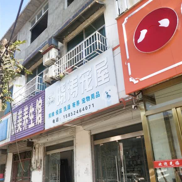 晓涛宠屋:徐州市铜山区张集镇附近