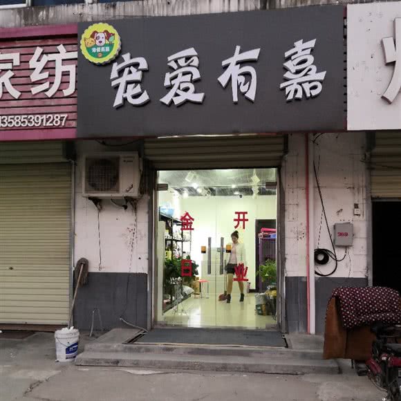 宠爱有嘉:徐州市铜山区棠张附近