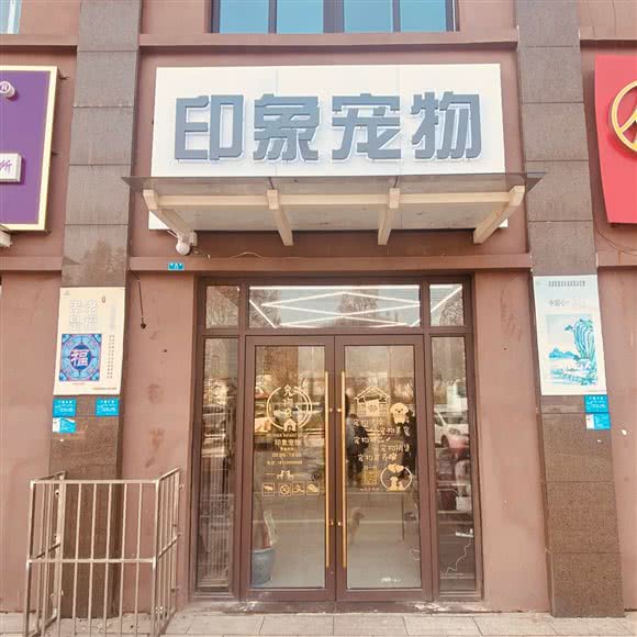 印象宠物:徐州市铜山区三堡附近