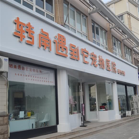 转角遇到它宠物医院(翠竹分院):常州市天宁区翠竹附近