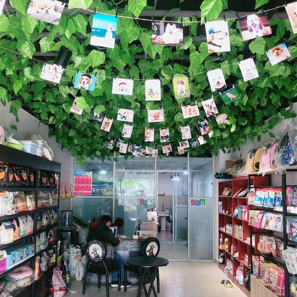 宠牠宠物会所:常州市天宁区劳动西路附近