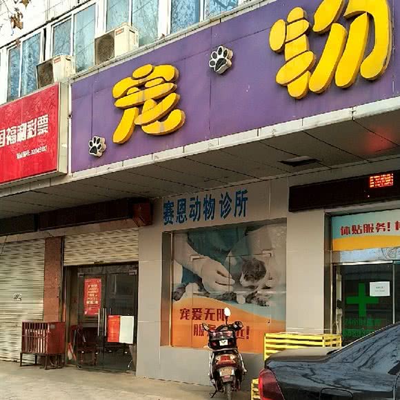 塞恩动物诊所:常州市天宁区劳动西路附近