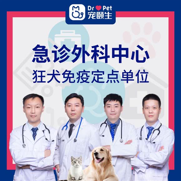 宠颐生美多格动物医院(龙锦分院):常州市天宁区通江路附近