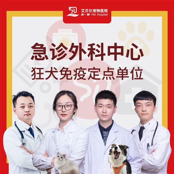 艾贝尔宠物医院(飞龙分院):常州市天宁区晋陵中路附近