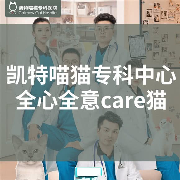 凯特喵猫专科医院(吊桥路分院):常州市天宁区吊桥路/同济桥附近