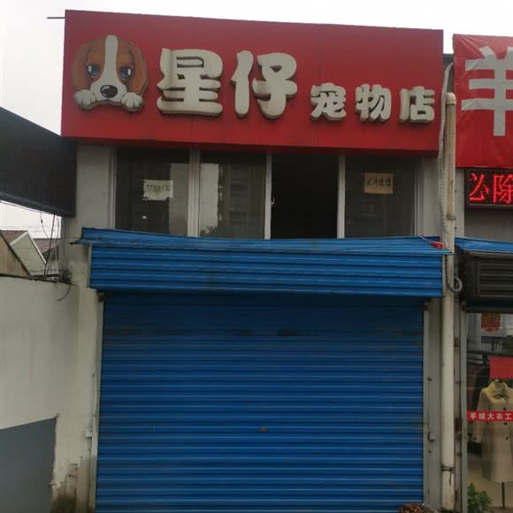 星仔宠物店:常州市天宁区朝阳附近