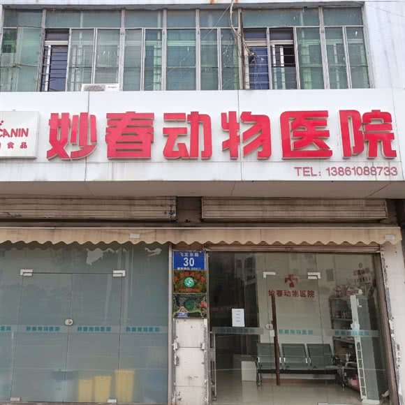 妙春动物医院:常州市天宁区红梅附近