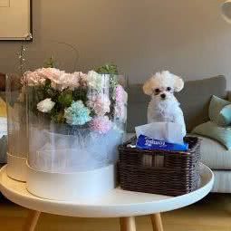 海阁宠物:常州市钟楼区五星公园附近