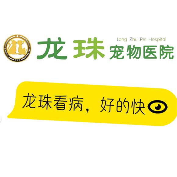 龙珠宠物医院(钟楼院/猫病/内窥镜/老年病中心):常州市钟楼区怀德桥附近