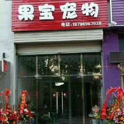 果宝宠物:常州市钟楼区青枫公园附近