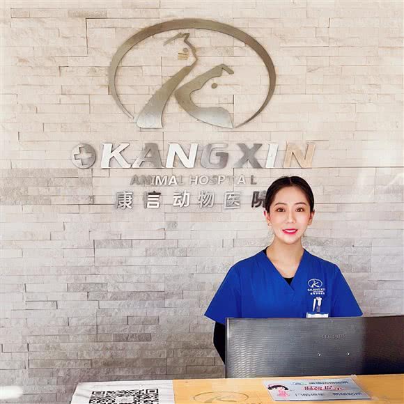 康信动物医院(土桥分院):北京城区通州区梨园附近