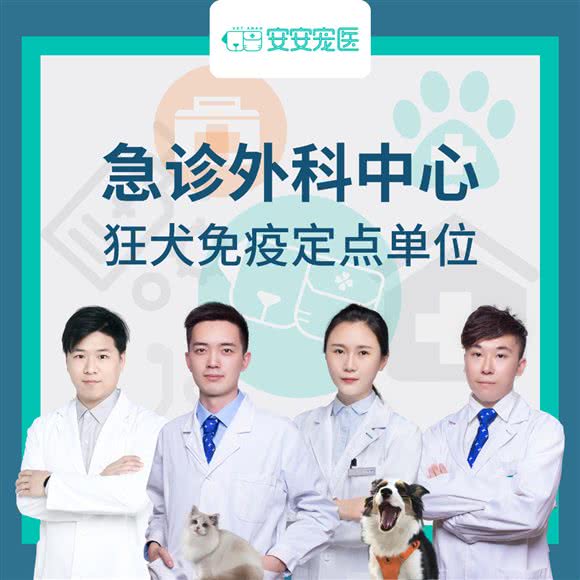 安安宠物(宝龙广场店):常州市钟楼区青枫公园附近