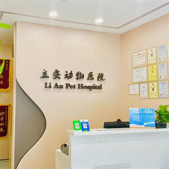立安动物医院24小时:常州市钟楼区青枫公园附近
