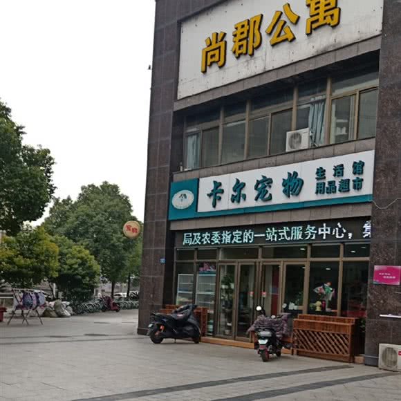 卡尔宠物:常州市钟楼区关河路附近