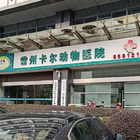 常州卡尔动物医院:常州市钟楼区关河路附近