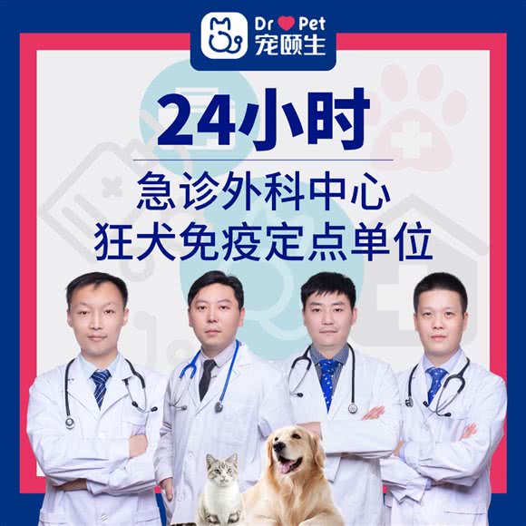 宠颐生美多格动物医院24小时(怀德总院):常州市钟楼区怀德路附近