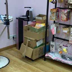 木棉.猫舍:常州市钟楼区芦墅附近