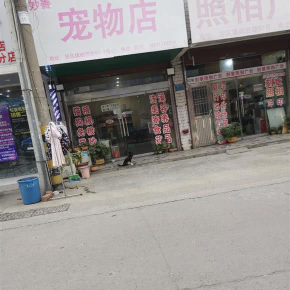 妙善宠物店(鹤西路店):常州市钟楼区邹区镇附近