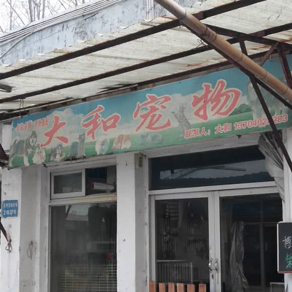 大和宠物:常州市钟楼区邹区镇附近