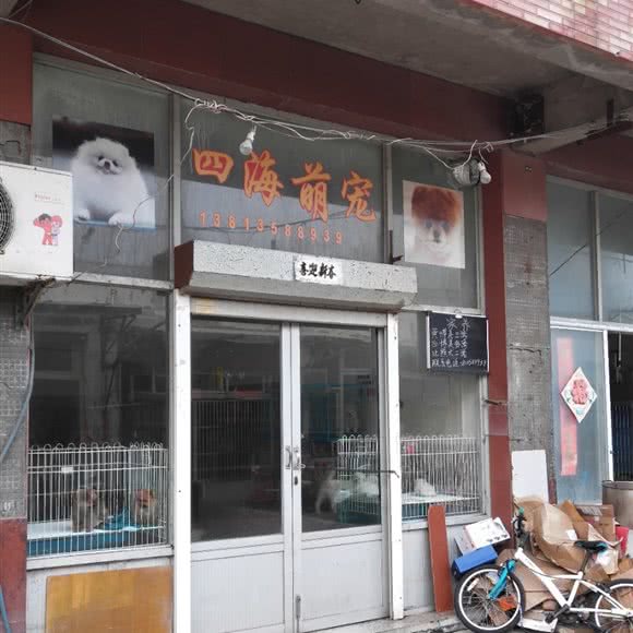 四海萌宠:常州市钟楼区邹区镇附近