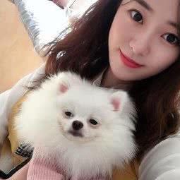 孙氏宠物:常州市钟楼区邹区镇附近