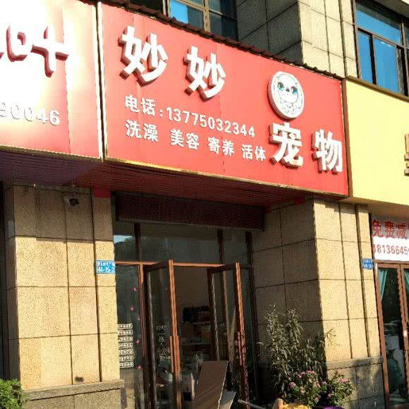 妙妙宠物:常州市钟楼区邹区镇附近