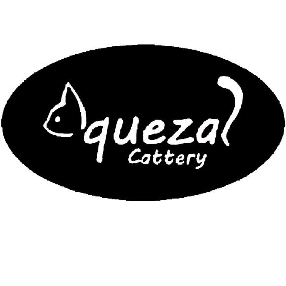 AQuetzal Cattery阿扎猫舍洗护寄养:常州市钟楼区邹区镇附近