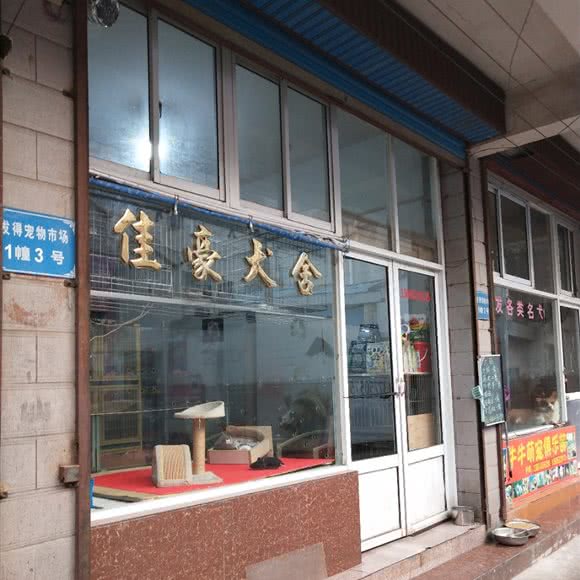 佳豪犬舍:常州市钟楼区邹区镇附近