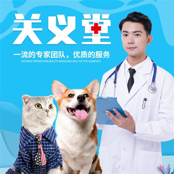 关义堂动物医院(24小时店):北京城区通州区梨园附近