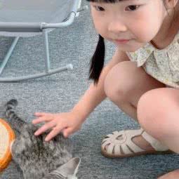 新北万达Sam猫咖:常州市新北区新北万达附近