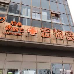 转角遇到它宠物医院(恐龙园分院):常州市新北区恐龙园附近