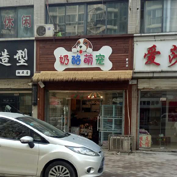 奶酪萌宠(新北店):常州市新北区河海大学附近