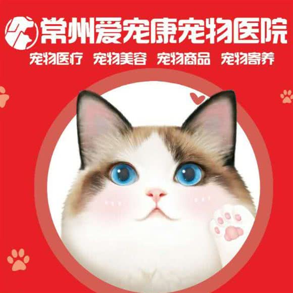 爱宠康宠物医院:常州市新北区江南环球港附近