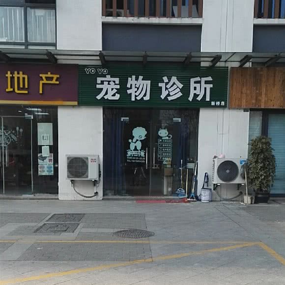 yoyo宠物诊所(滨江明珠城店):常州市新北区新桥镇/高铁站附近