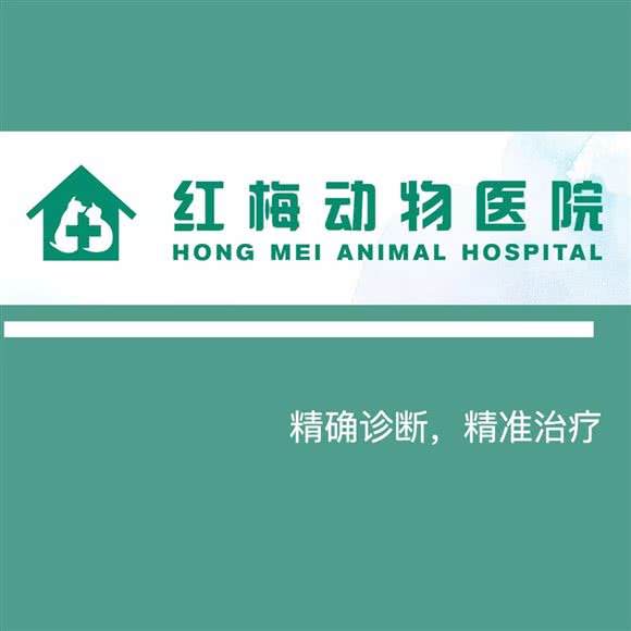 红梅动物医院(新北店):常州市新北区晋陵北路附近