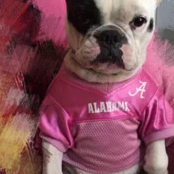 吉喆动物医院(新北店):常州市新北区新北中心公园附近