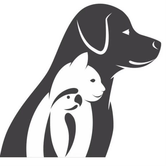 爱宠屋工作室 萌宠在售(通朝店):北京城区通州区果园附近