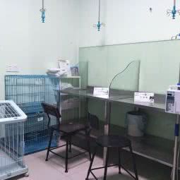 常瑞宠物诊所:常州市武进区吾悦广场附近