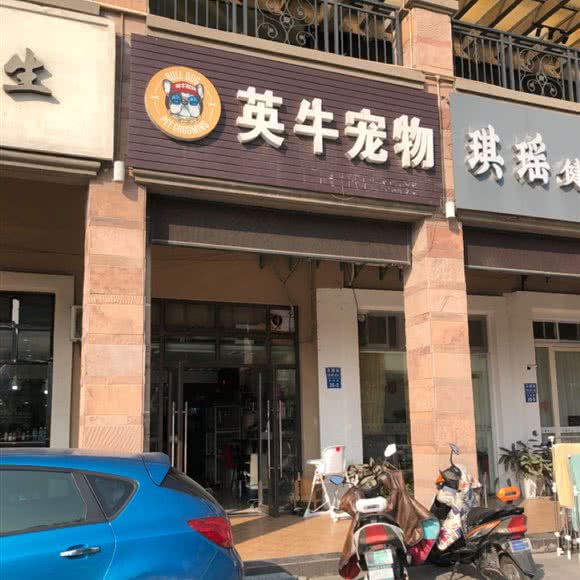 英牛宠物:常州市武进区路劲又一城附近