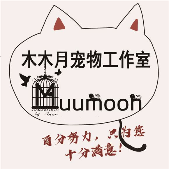 木木月宠物工作室??CFA猫舍:常州市武进区鸣凰大学城附近