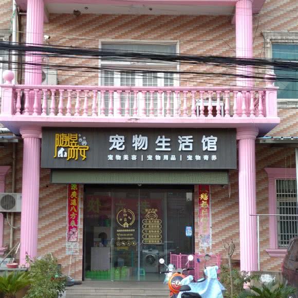 随煜而安宠物生活馆:常州市武进区鸣凰大学城附近
