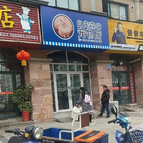 白先森的宠物店:常州市武进区鸣凰大学城附近