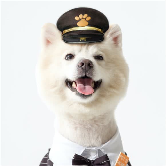 宠家Pet‘sHome(星河店):常州市武进区Coco City附近