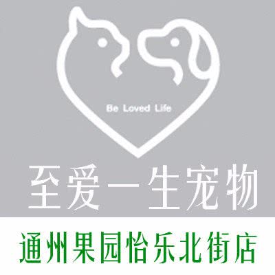 至爱一生宠物(怡乐北街店):北京城区通州区果园附近