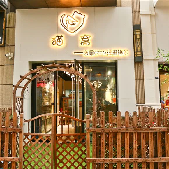 猫窝:常州市武进区武进万达广场附近