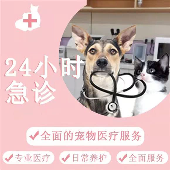 晋缘宠物医院:常州市武进区湖塘乐购附近