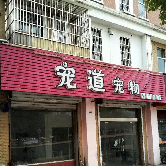 宠道宠物:常州市武进区礼嘉镇附近