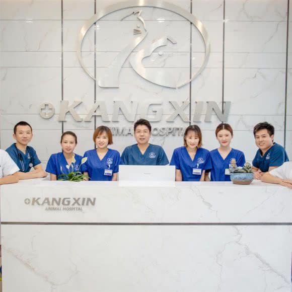 康信动物医院·猫亲善:北京城区通州区果园附近